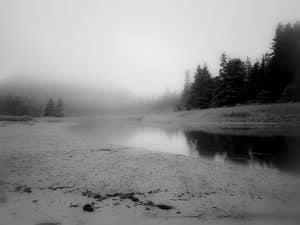 Fog drapes the Beehive at Acadia National Park as a high tide pool mirrors the quiet stillness of the shore in classic, grain-kissed black and white.