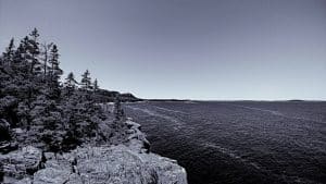 Black and white photograph of Otter Cliffs in Acadia National Park, looking back toward the Sand Beach area with trees, rocky cliffs, and the Atlantic Ocean.