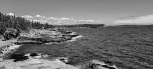 Granite cliffs and pine forest along the Acadia National Park coast with waves crashing below and ocean horizon in the distance.